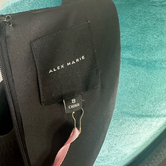 Alex Marie Size 8 Dress- Stylish Design, Perfect for Any Event, Great Condition! - Picture 13 of 15